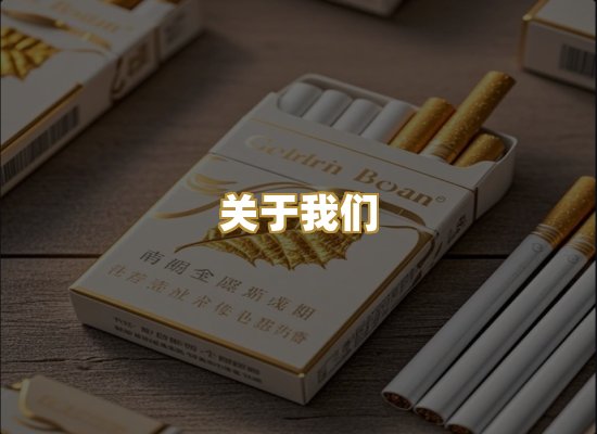 关于我们